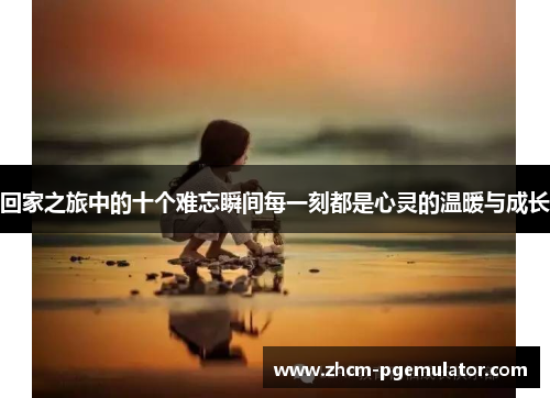 回家之旅中的十个难忘瞬间每一刻都是心灵的温暖与成长 回家之旅中的十个难忘瞬间每一刻都是心灵的温暖与成长