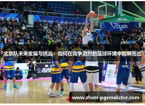北京队未来发展与挑战：如何在竞争激烈的篮球环境中脱颖而出