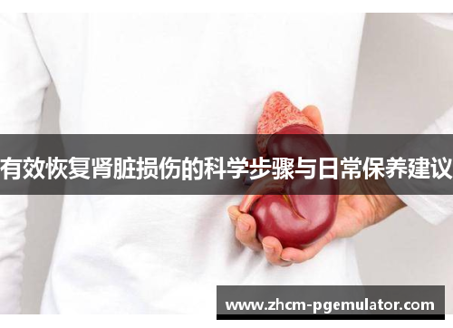有效恢复肾脏损伤的科学步骤与日常保养建议 有效恢复肾脏损伤的科学步骤与日常保养建议