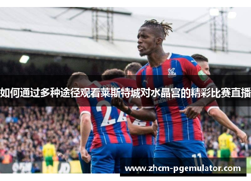 如何通过多种途径观看莱斯特城对水晶宫的精彩比赛直播