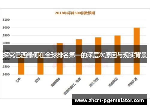 探究巴西缘何在全球排名第一的深层次原因与现实背景