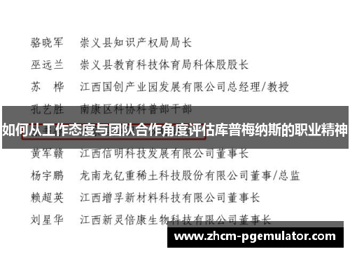 如何从工作态度与团队合作角度评估库普梅纳斯的职业精神