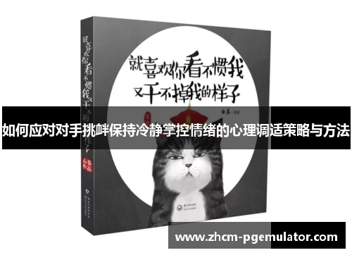 如何应对对手挑衅保持冷静掌控情绪的心理调适策略与方法