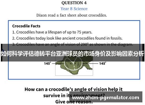 如何科学评估德转平台亚洲球员的市场身价及影响因素分析 如何科学评估德转平台亚洲球员的市场身价及影响因素分析